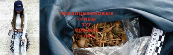 спиды Богородск