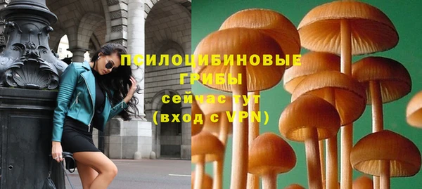 СК Богданович